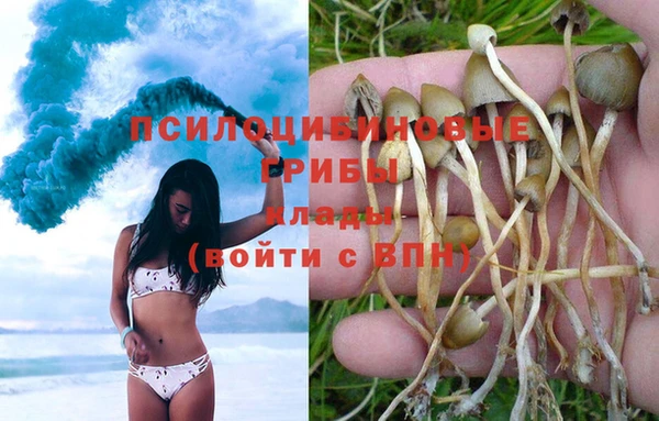 соль курить ск Пролетарск