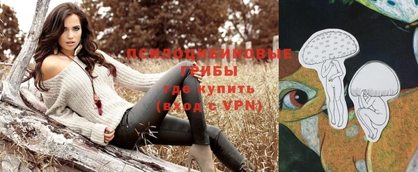 шишки Алексеевка