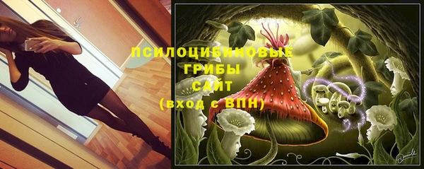 а пвп мука Алзамай