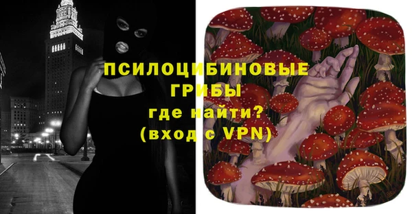 а пвп мука Алзамай