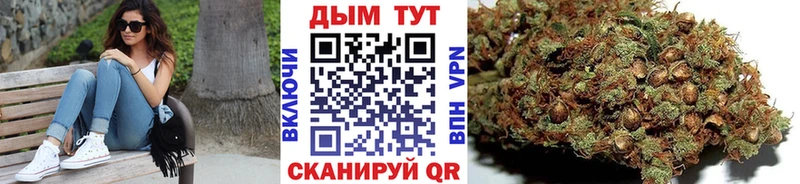 Канабис MAZAR  Бабушкин 